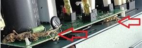 Skeleton of Geckos Inside Air condition Board | LCM Air Conditioning